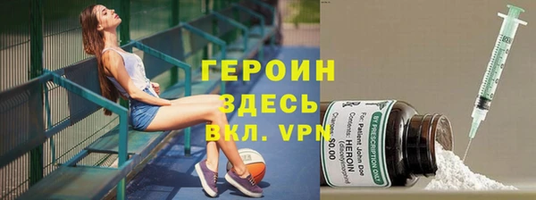 индика Богданович