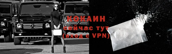 молекула духа Богородицк