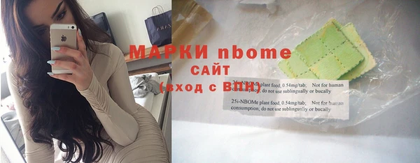 индика Богданович