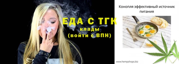индика Богданович