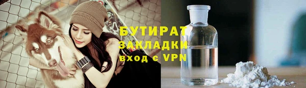 индика Богданович