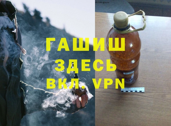 молекула духа Богородицк