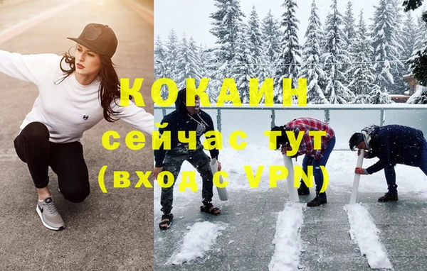 индика Богданович