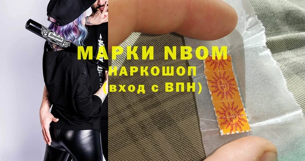 молекула духа Богородицк