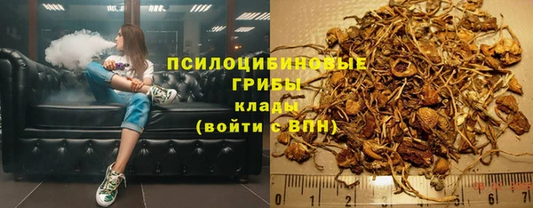молекула духа Богородицк