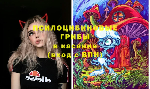 индика Богданович