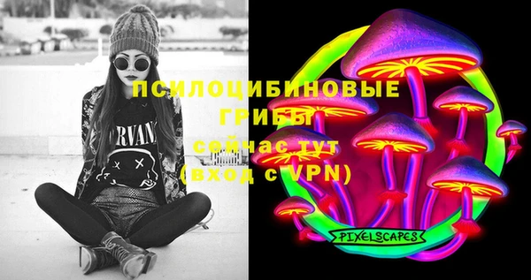 молекула духа Богородицк
