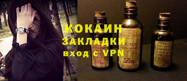 индика Богданович