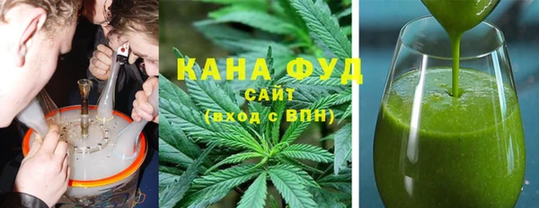индика Богданович