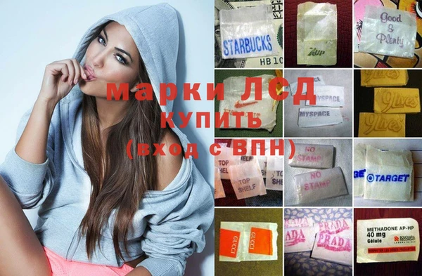 индика Богданович