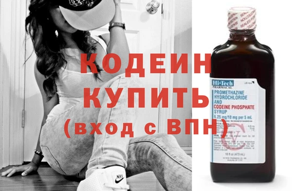 молекула духа Богородицк