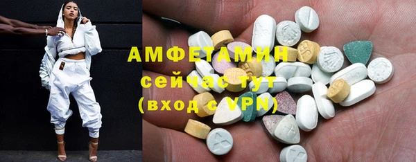 индика Богданович