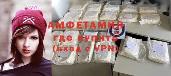индика Богданович