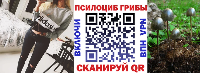Купить где Буинск Галлюциногенные грибы GOLDEN TEACHER
